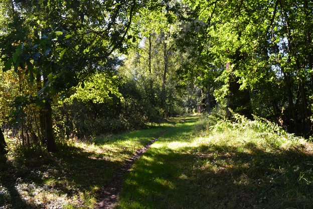 Wanderweg entlang der Schmaar
