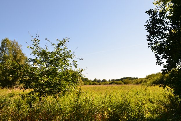 Bewerdikmulde
