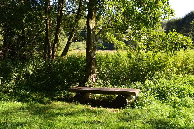 Bewerdik