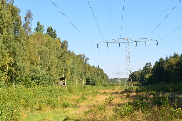 Die Stromtrasse