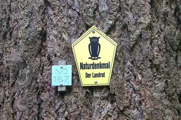 Hinweisschild Naturdenkmal