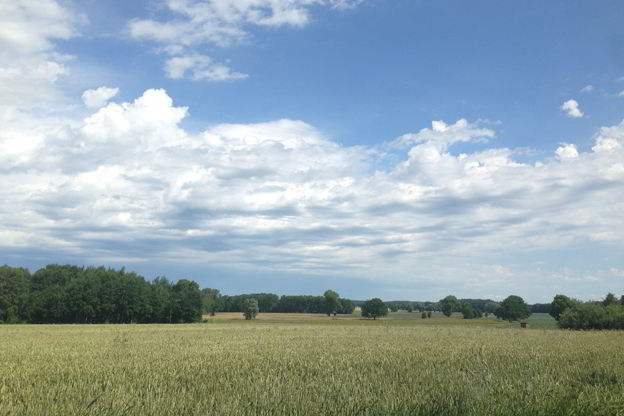Blick über die Felder