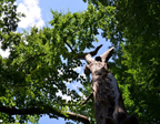Unter Buchen