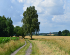 Landschaft